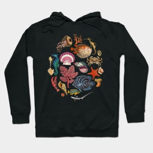 Sea Life Creatures Collection Hoodie